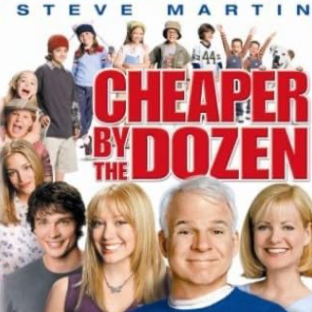 EUC “Cheaper by the Dozen” DVD 2003 Comedy movie is a remake of the 1950 film